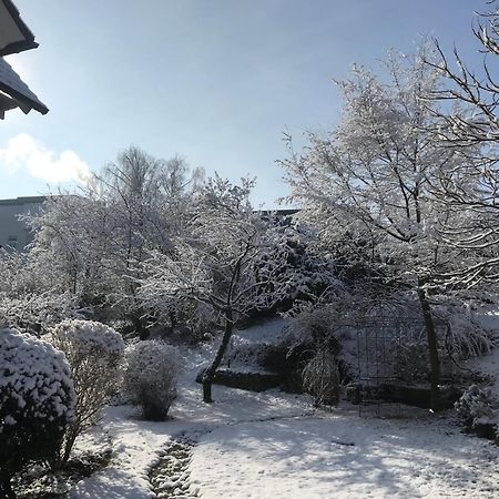 Apartment Frida Radolfzell am Bodensee Exterior photo